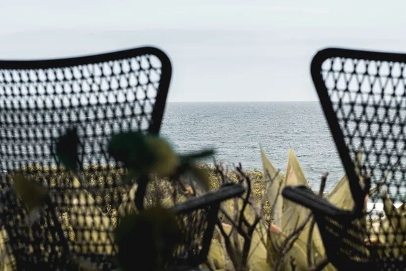 pexels ben mack 6775272