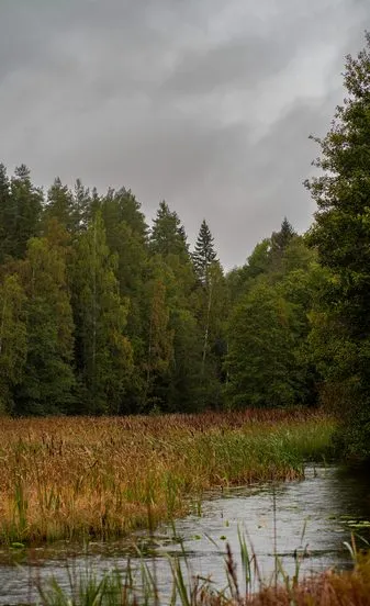 pexels damir 18686484