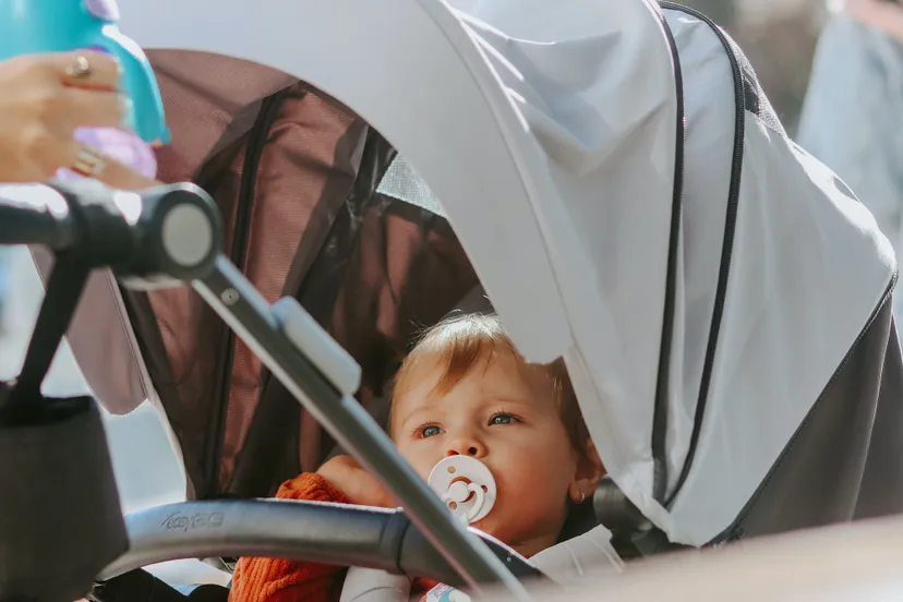 pexels ejov igor 13960883