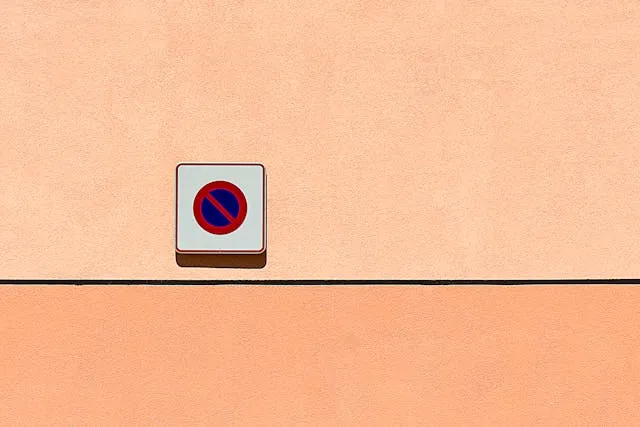 pexels jan van der wolf 10339355