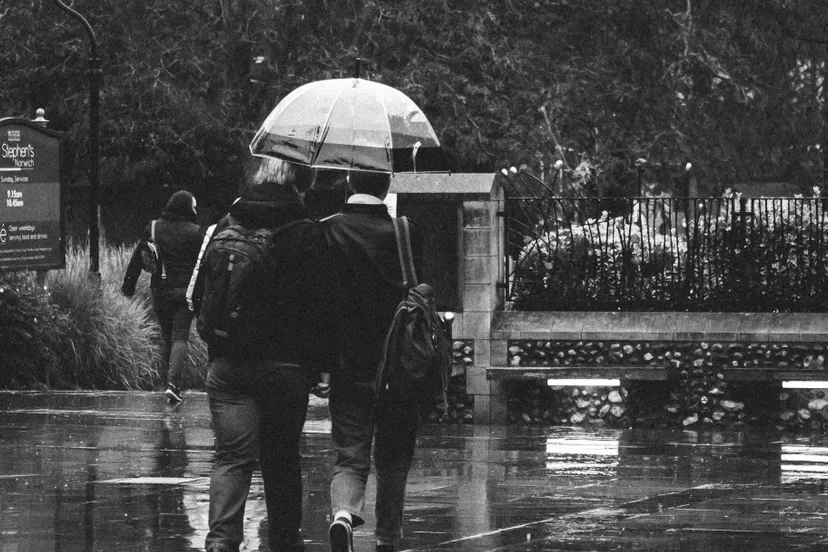 pexels lauren boswell 14126127