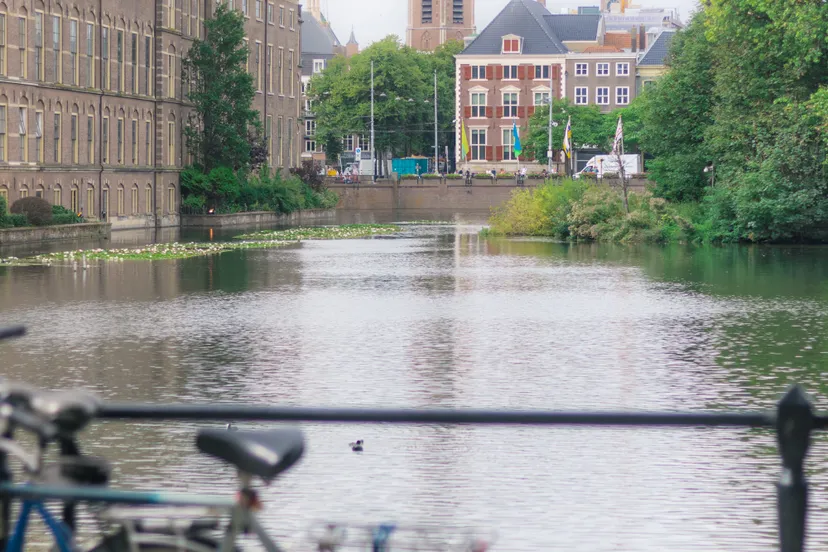 pexels marton novak 13460836