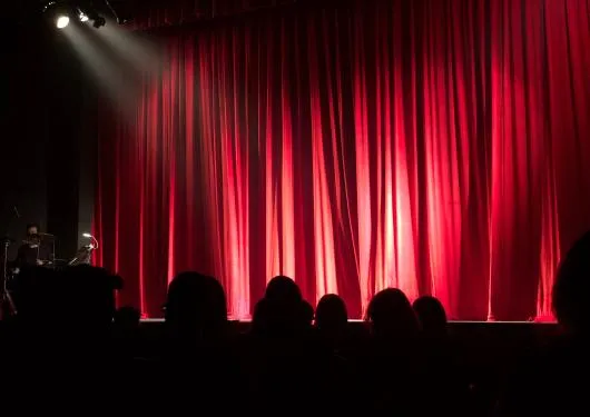 pexels monica silvestre 713149