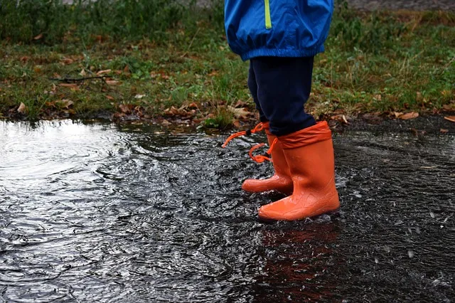 waters g5f20d0266 640