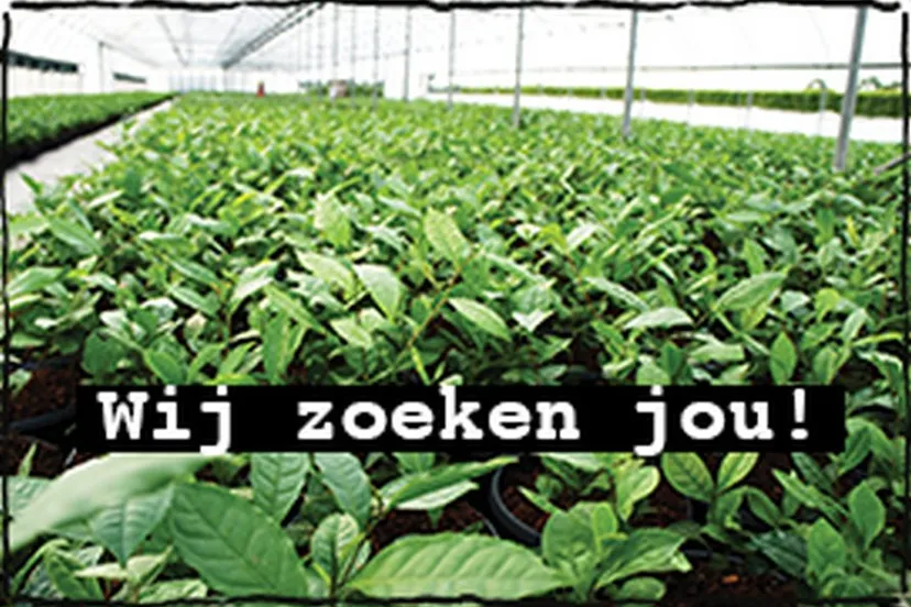 wij zoeken jou