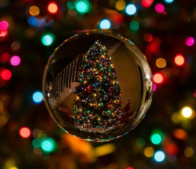 pexels bob springbob54 91749 306864