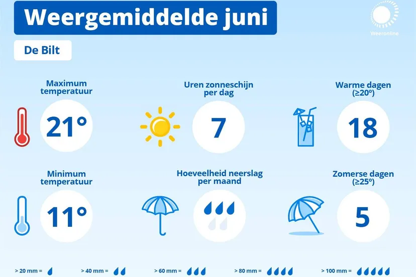 unnamed 2025 05 31t143948640