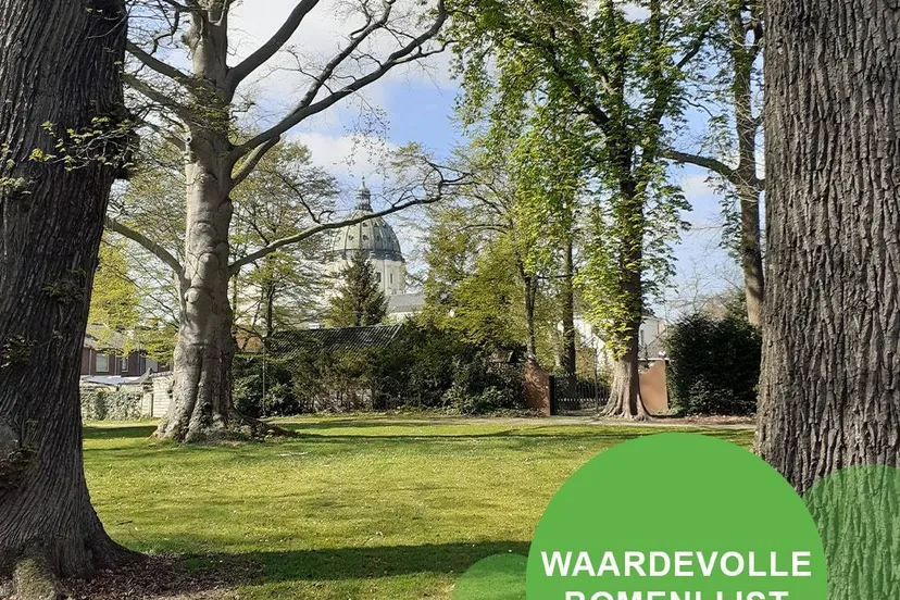 waardevolle-bomenlijst-halderberge