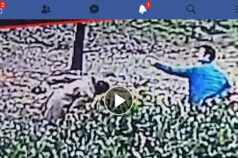 00e0f712 bf17 4ef6 8dca 2ce14670b702