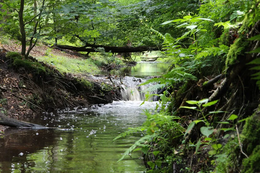 12294114063 f4246f723c k