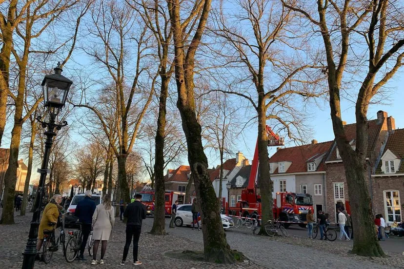 152579439 151071556841604 1369156927719626038 n