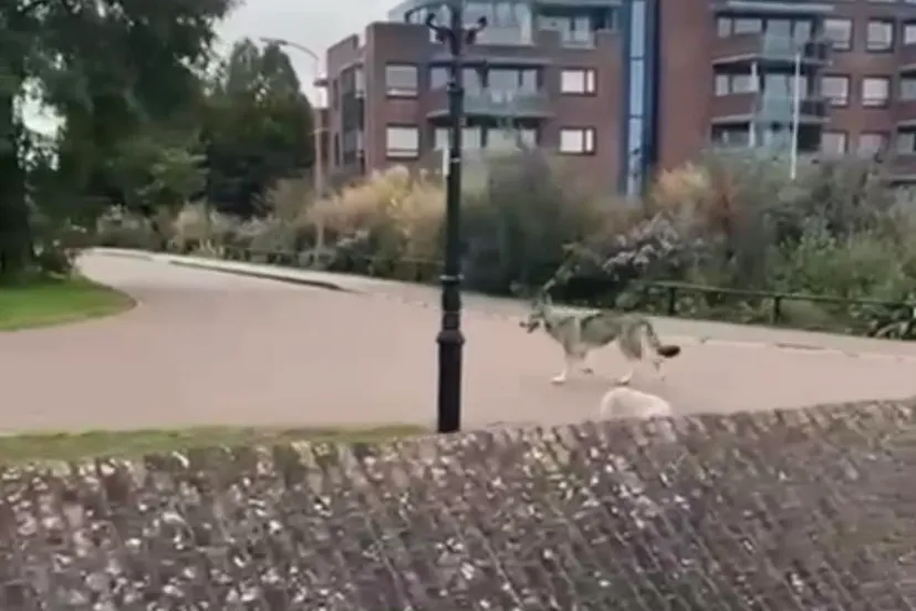 380275763 961530991575750 6516041187737762204 n