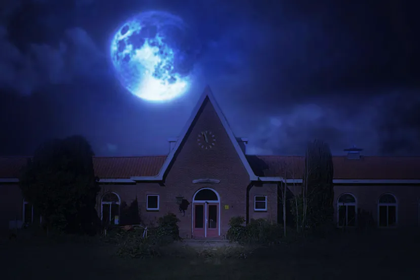 44183183 1842522182529274 2633850464768098304 o