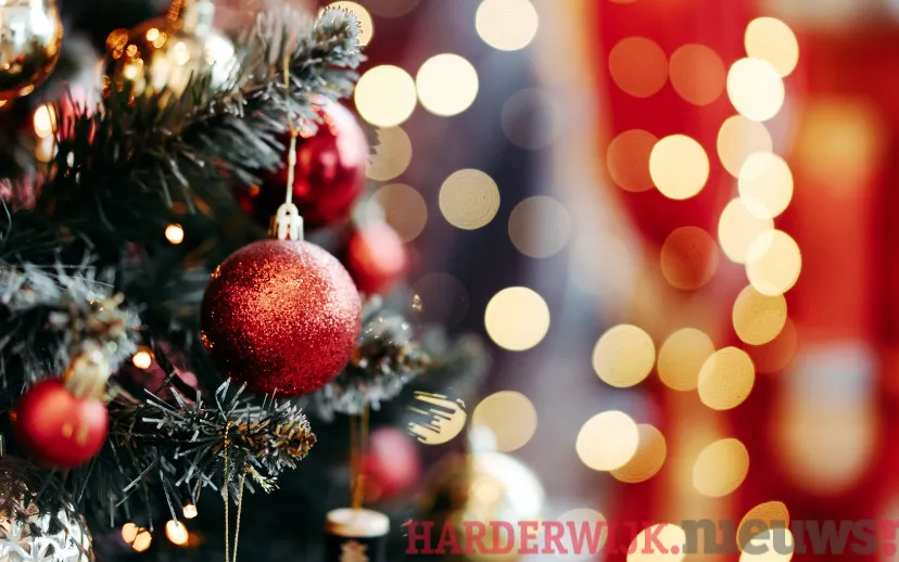 45 25 1125 tegels eruit en egaliseren 01875 e 90000 e 16875 45 25 1125 graszoden erin 1125 e 750 e 8438 2 75 15 kunstgras eruit 15 e 200 e 3000 2 75 15 graszoden erin 15 e 750 e 11250 45 25 1125 4