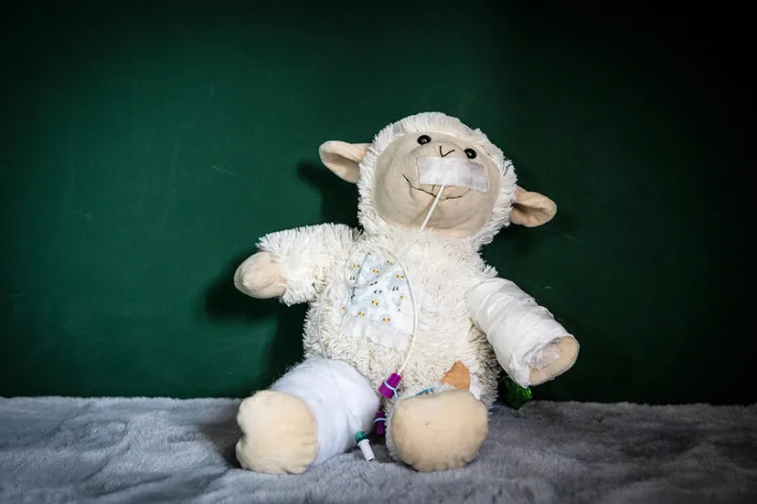 75349108 476367569632593 1154453480786624512 n