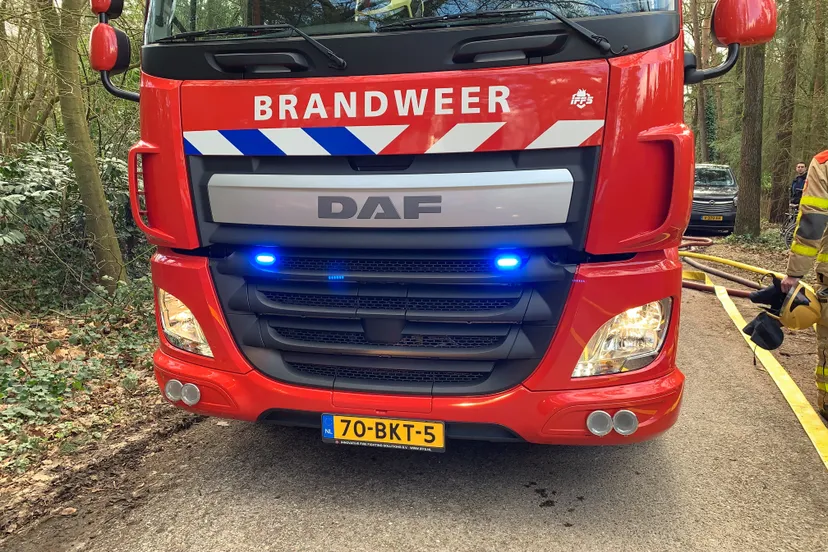 87936933 503104087276189 8547007291524644864 n