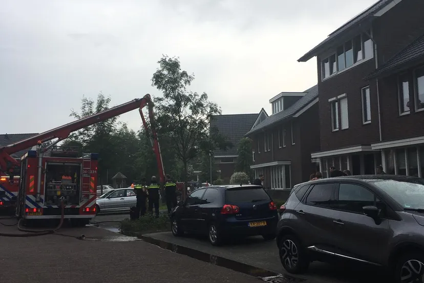 9c7b8792 1909 4c31 b815 8473965d9641