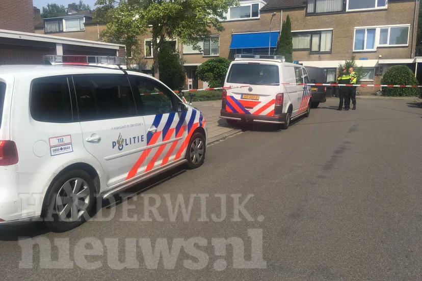 aanhoudingen drugsdeal waarschuwingschoten 1 w hnn