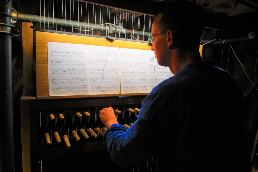 beiaardier jasper stam