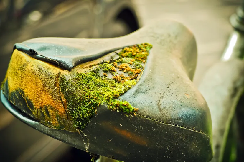 bicycle saddle bicycles bike break up 163539