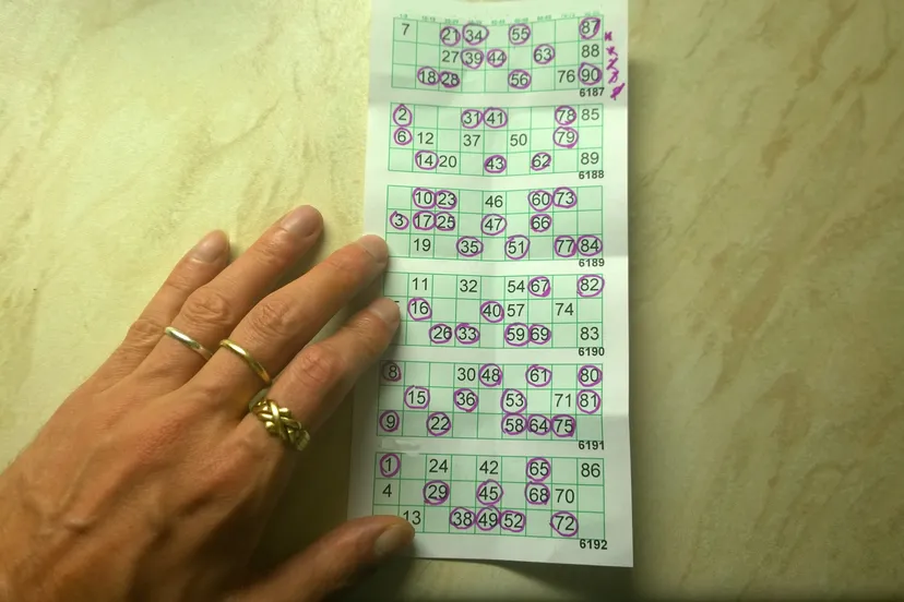 bingo aanleg stadsdennen frankrijk wijkvereniging pixabay