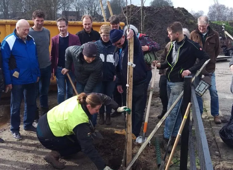 boom planten hierden web gemeente