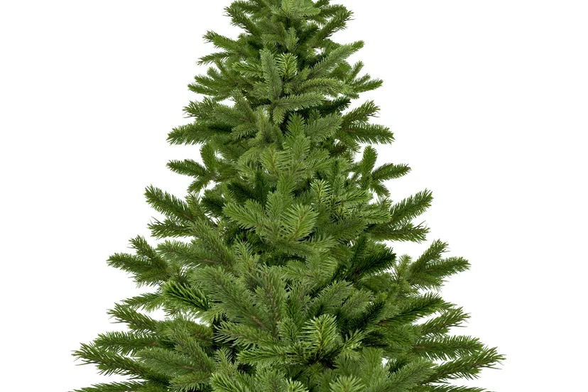 christmas tree 1792267 1920