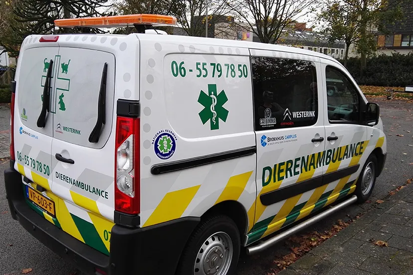 dierenambulance ermelo harderwijk dierenambulance ehnl