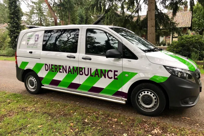 dierenambulance