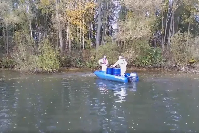 dode vogels zeewolde vogelgriep h5n8 still harry severens