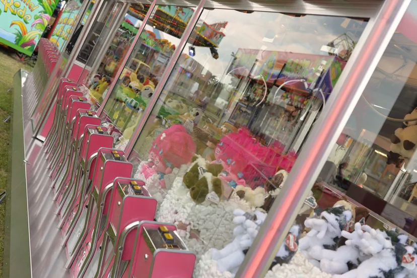 elsabijn lindenbergh origineel formaat zonder logo2