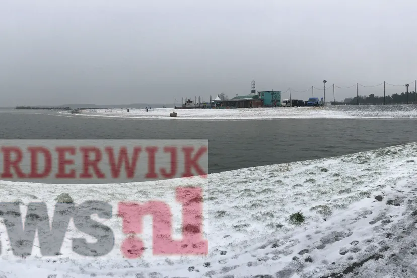 harderwijker nieuwjaarsduik 20176572