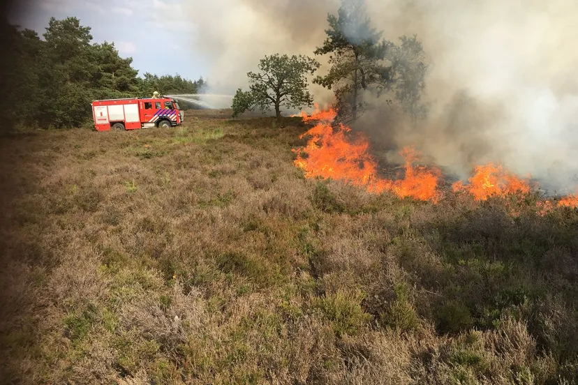 heidebrand elspeet jan frens 22