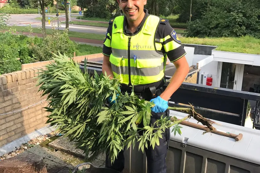 hennep ruimen twitter alex braakenburg