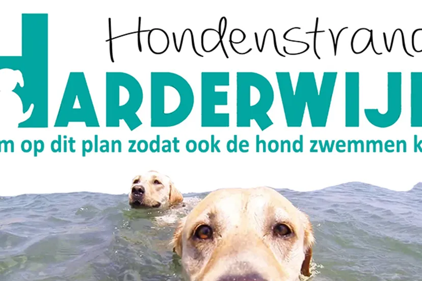 hondenstrand harderwijk