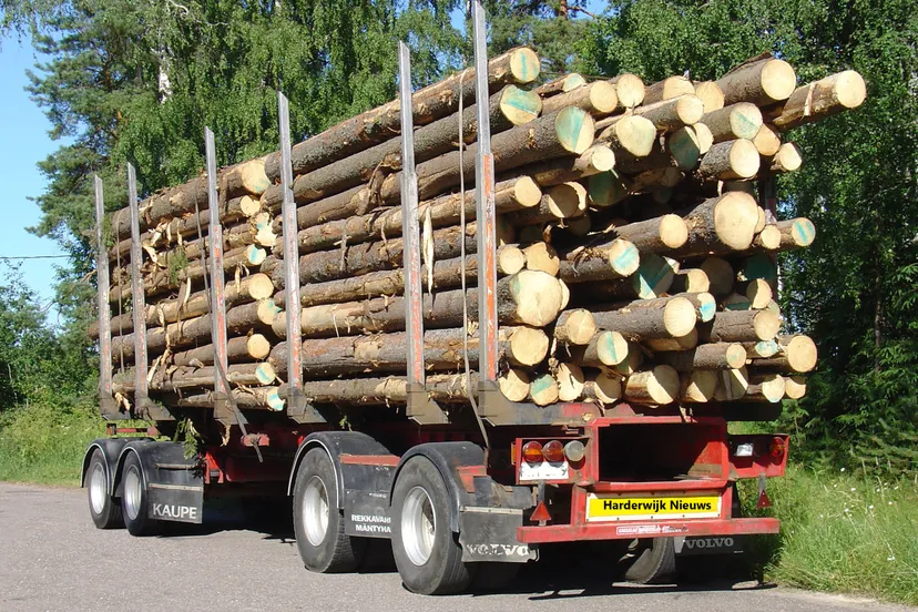 houttransport pixabay