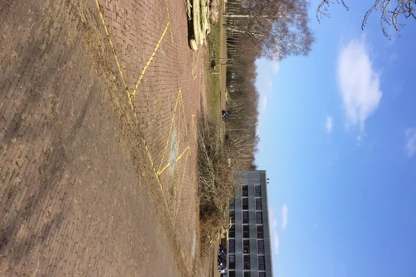 img 0976 e1458591323121