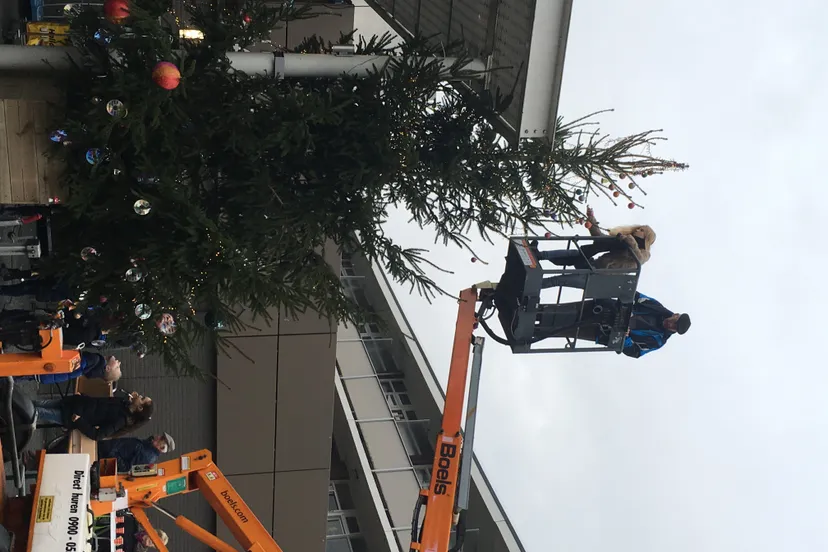 img 5962 e1481792570635