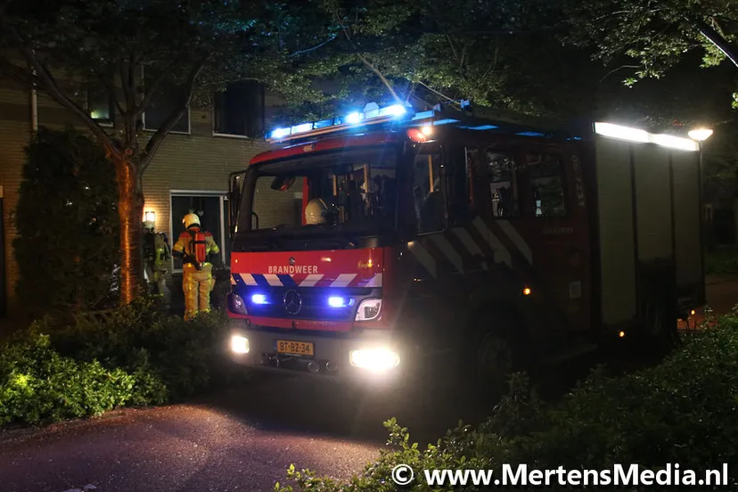 img 8689 bordermaker