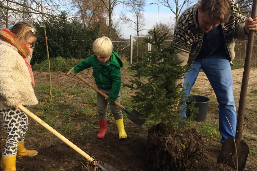 kerstbomenhotel spar rietmeen joanne zwart