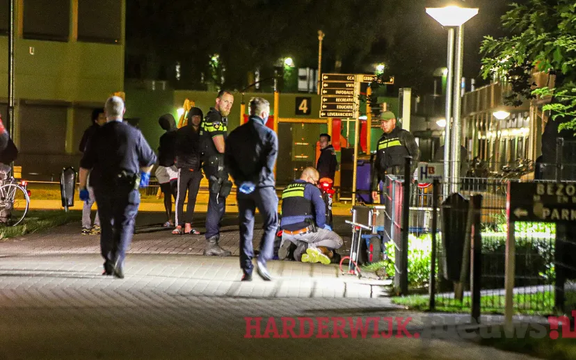 kopie van zonder titel 14