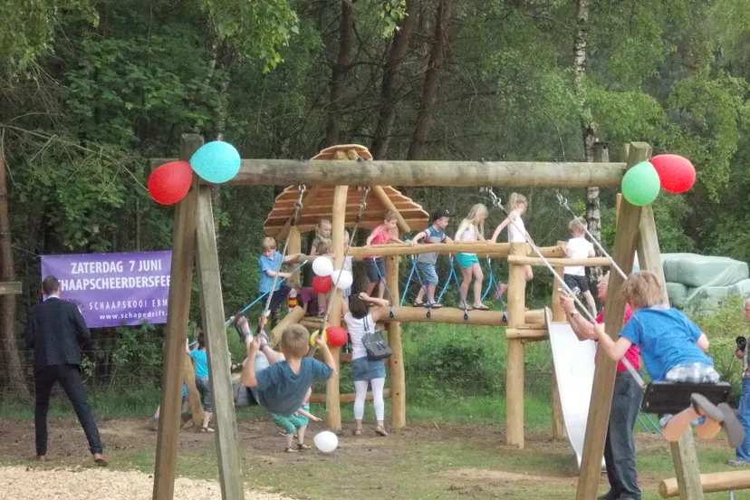 kudde schapen ermelo schaapskooi speeltuin schapedrift geesje eleveld