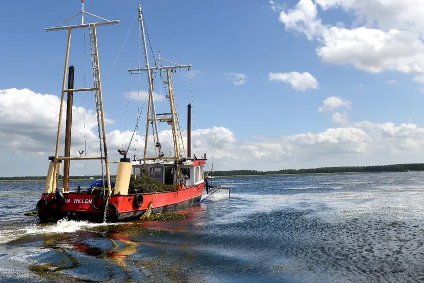maaien wier gastvrije randmeren