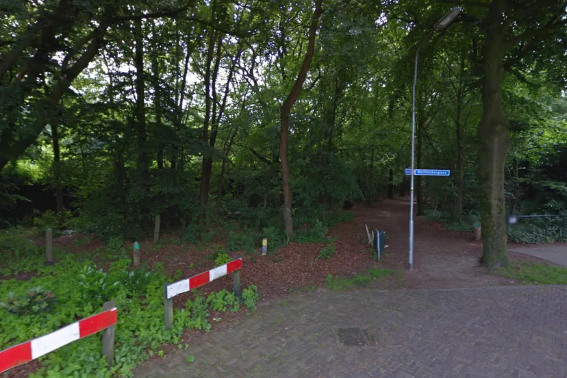 mecklenburglaan bosschage reinwardtlaan drugsdealen street view