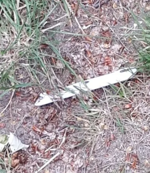 mes steekpaetij azc mei 2018 wijkagent veenstra