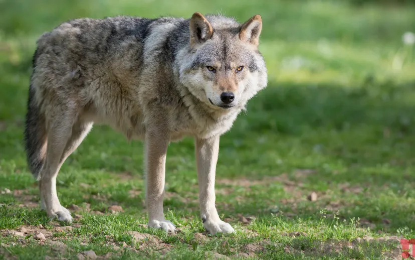 ontwerp zonder titel 1