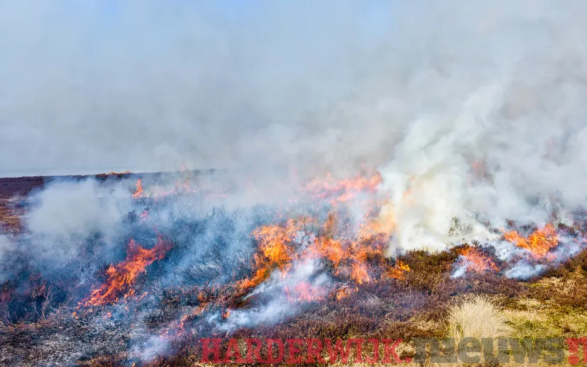 ontwerp zonder titel 18