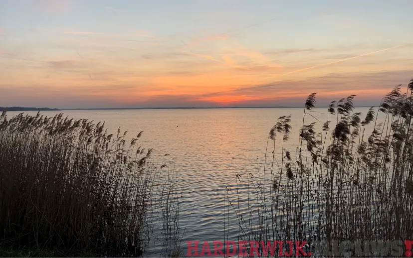 ontwerp zonder titel 19