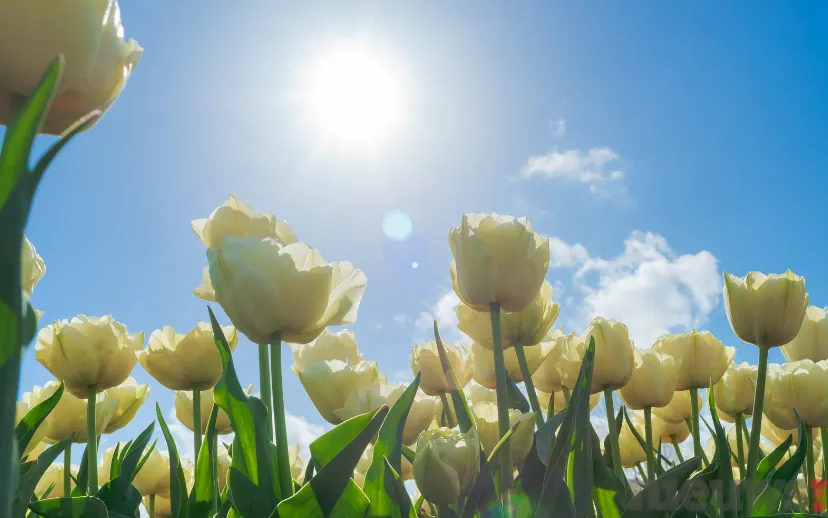 ontwerp zonder titel 2