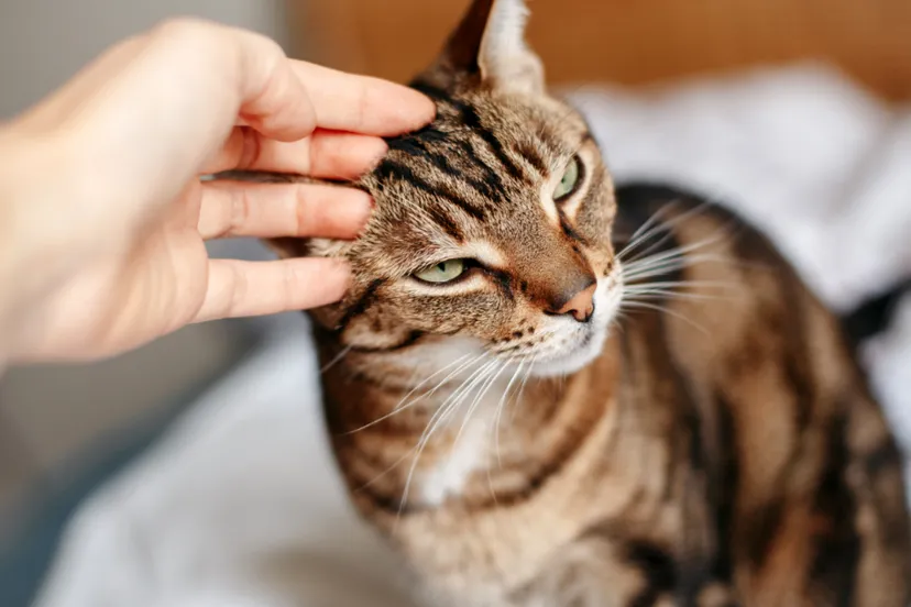 ontwerp zonder titel 2021 04 22t162056431